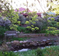 Frog Song at Willunga - Adwords Guide