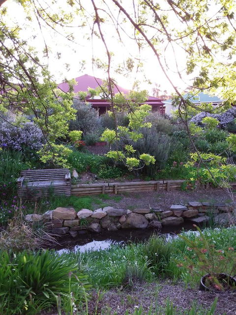 Frog Song At Willunga - Adwords Guide 0