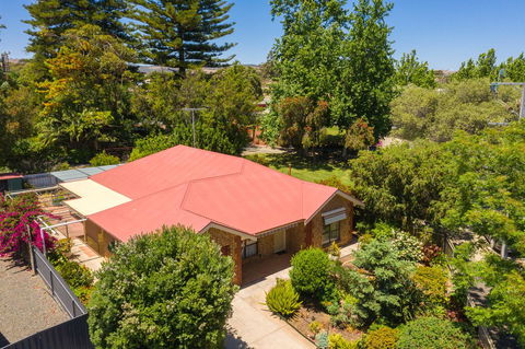 Tanunda's Magpie House - Adwords Guide 1