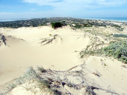 Coorong Waterfront Retreat - Adwords Guide 32