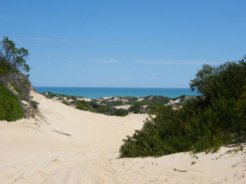 Coorong Waterfront Retreat - Adwords Guide 23