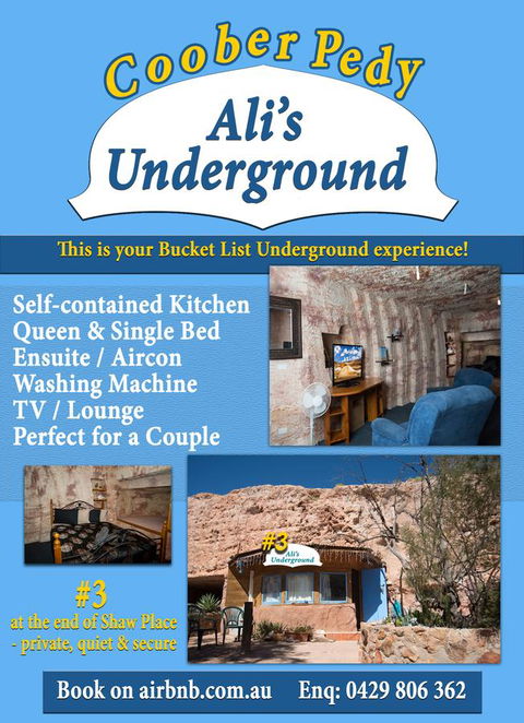 Ali's Underground - Adwords Guide 12