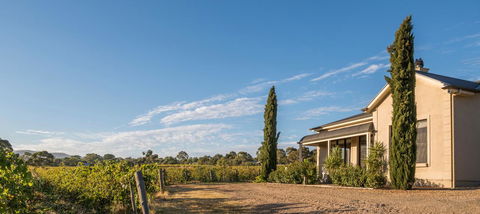 Barossa Shiraz Estate - Adwords Guide 13