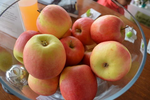 The Apple Inn - Adwords Guide 12