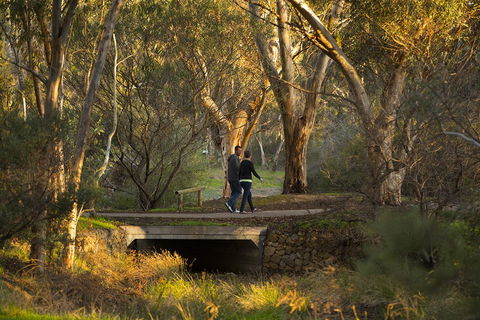 BIG 4 Barossa Tourist Park - Adwords Guide 26