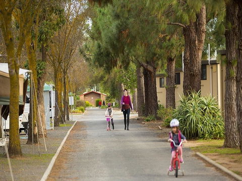 BIG 4 Barossa Tourist Park - Adwords Guide 36