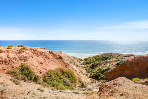 Salomon Sea Haus - Sellicks Beach - Adwords Guide 1