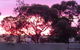 Gawler Ranges Motel And Caravan Park - thumb 11