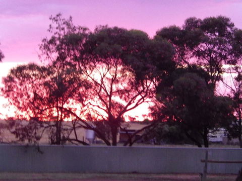 Gawler Ranges Motel And Caravan Park - Adwords Guide 11