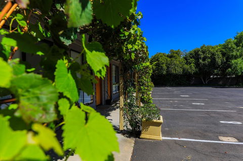 Country Roads Motor Inn Naracoorte - Adwords Guide 16