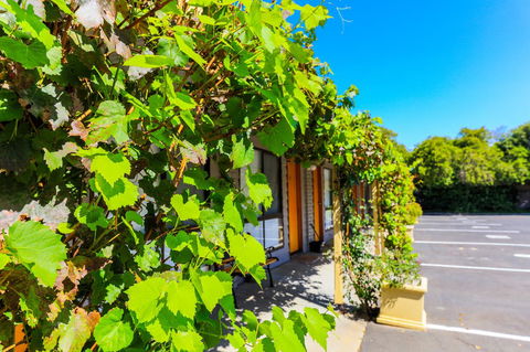 Country Roads Motor Inn Naracoorte - Adwords Guide 18