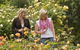 Lyndoch Hill - thumb 7