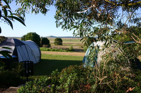 Millicent Hillview Caravan Park - Adwords Guide 43