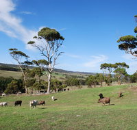 Lisieux Farm Bed and Breakfast - Adwords Guide