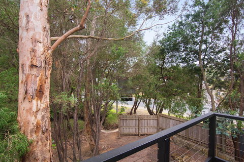 Margarets Forest - Adwords Guide 12