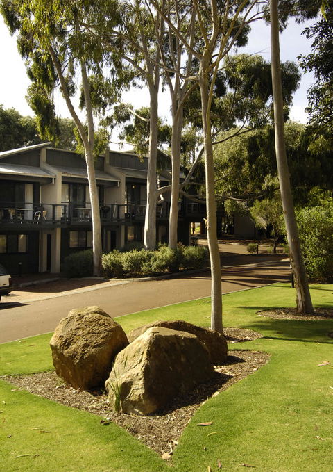 Margarets Forest - Adwords Guide 34