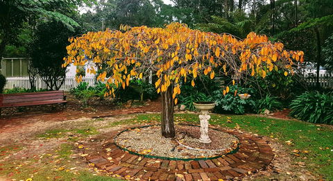 Adamsons Riverside Accommodation - Adwords Guide 22