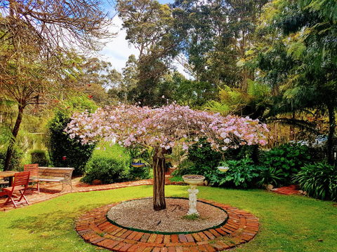 Adamsons Riverside Accommodation - Adwords Guide 25