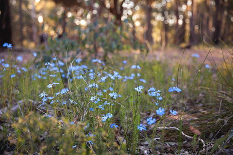 Amaroo Retreat & Spa - Adwords Guide 15