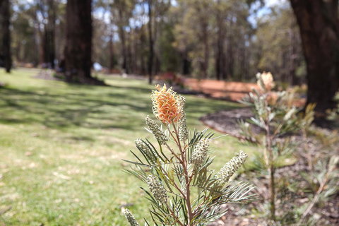 Amaroo Retreat & Spa - Adwords Guide 19