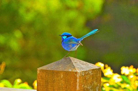 Waterfall Cottages - Adwords Guide 21