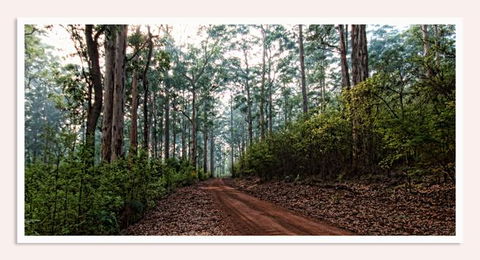Oak Tree Barn Bridgetown - Adwords Guide 14
