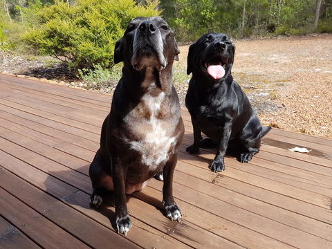 Jarrah Grove Forest Retreat - Adwords Guide 22