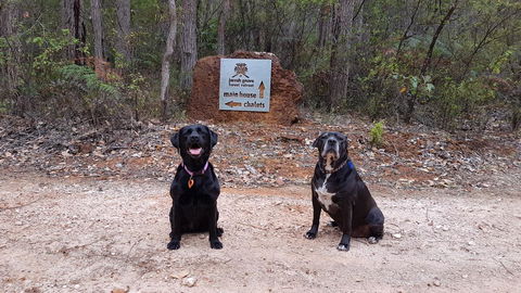 Jarrah Grove Forest Retreat - Adwords Guide 21