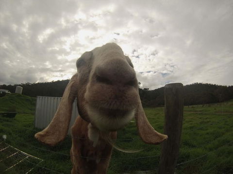 Tanen Farm - Adwords Guide 7