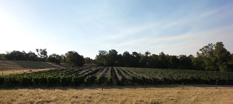 Windfall Estate Vineyard Cottage - Adwords Guide 28