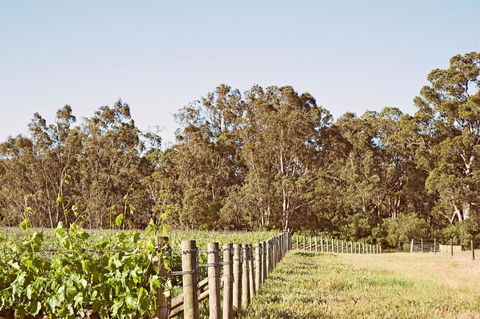 Windfall Estate Vineyard Cottage - Adwords Guide 23