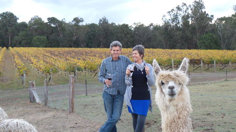 Windfall Estate Vineyard Cottage - Adwords Guide 11