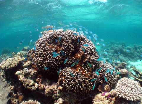 Ningaloo Coral Bay â€“ Bayview - Adwords Guide 2