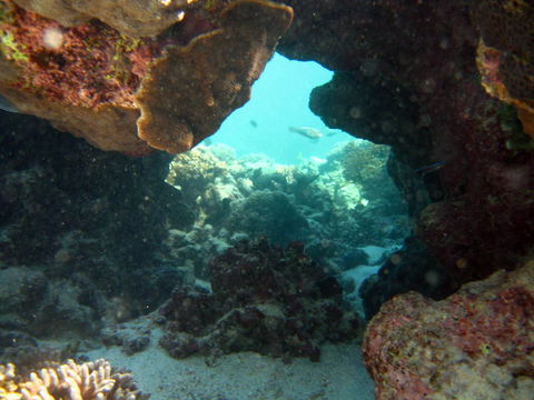 Ningaloo Coral Bay â€“ Bayview - Adwords Guide 4