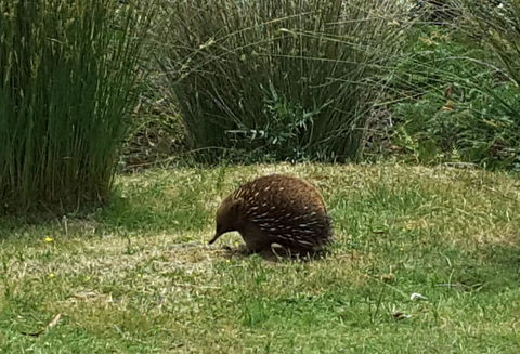 Erriba House - Adwords Guide 10