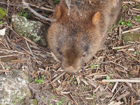 Erriba House - Adwords Guide 8