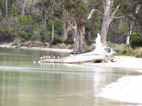 The Boat Shed - Adwords Guide 12