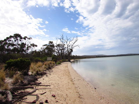 The Boat Shed - Adwords Guide 2