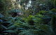 Maydena Chalet - thumb 42