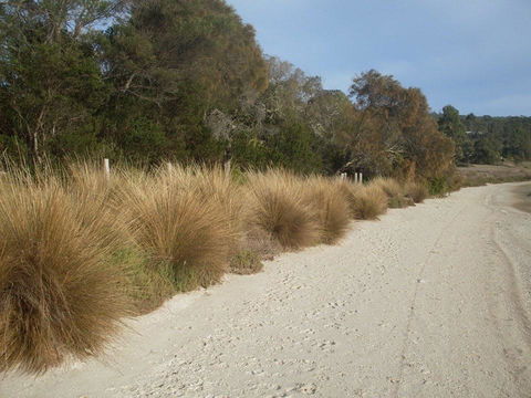 Pipe Clay Cottage - Adwords Guide 38