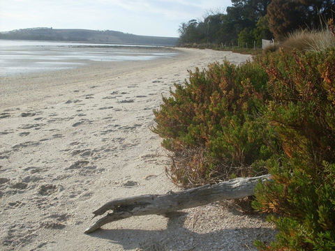 Pipe Clay Cottage - Adwords Guide 35