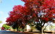 New Norfolk Junction Motel - thumb 22
