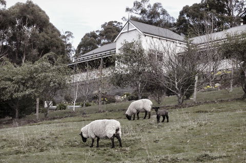House On The Hill Bed And Breakfast - Adwords Guide 19