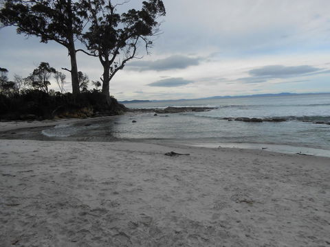Bruny Ocean Cottage - Adwords Guide 7