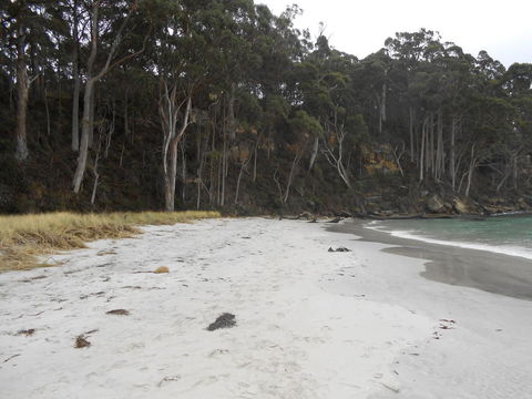 Bruny Ocean Cottage - Adwords Guide 12