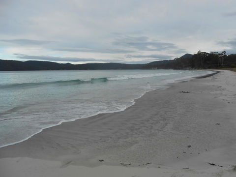 Bruny Ocean Cottage - Adwords Guide 11