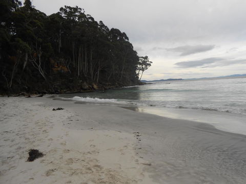 Bruny Ocean Cottage - Adwords Guide 17