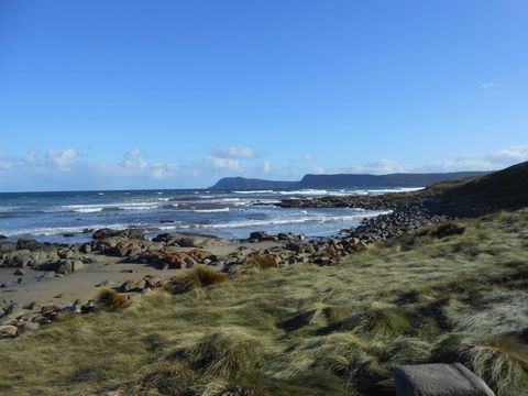 Bruny Ocean Cottage - Adwords Guide 15