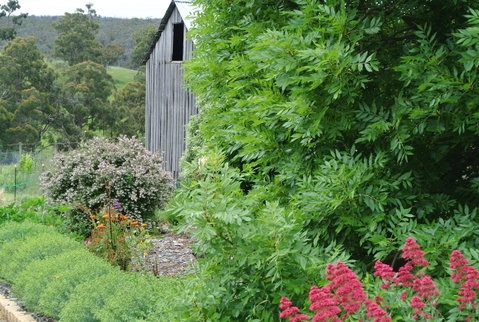 Hamlet Downs Country Accommodation - Adwords Guide 19