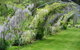 Hamlet Downs Country Accommodation - thumb 17
